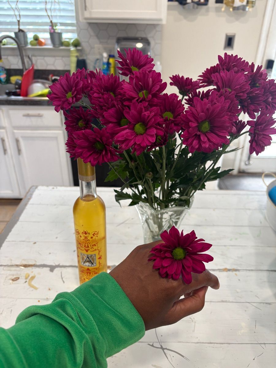 Luxy Roll - Share Your Moments!