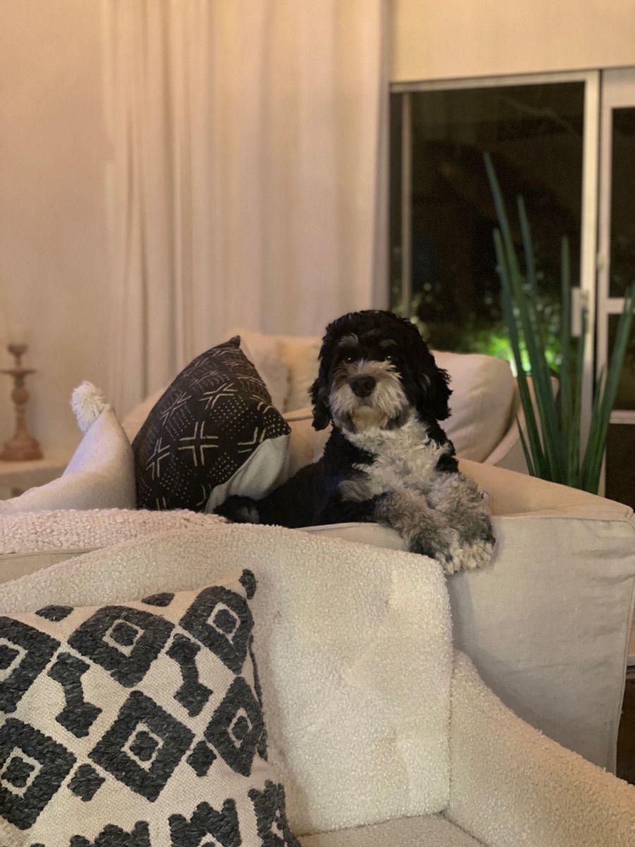 Luxy Roll - Share Your Moments!