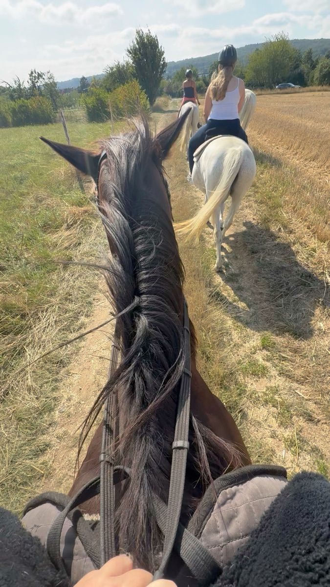 Luxy Roll - Share Your Moments!