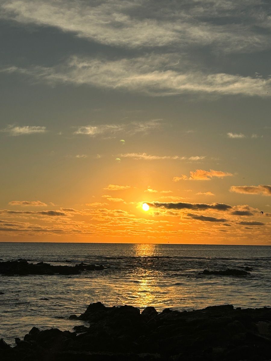 Luxy Roll - Share Your Moments!