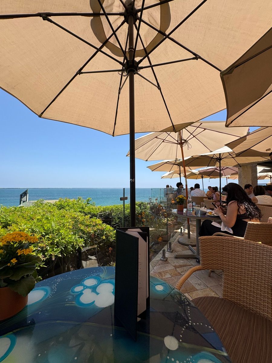 Luxy Roll - Share Your Moments!