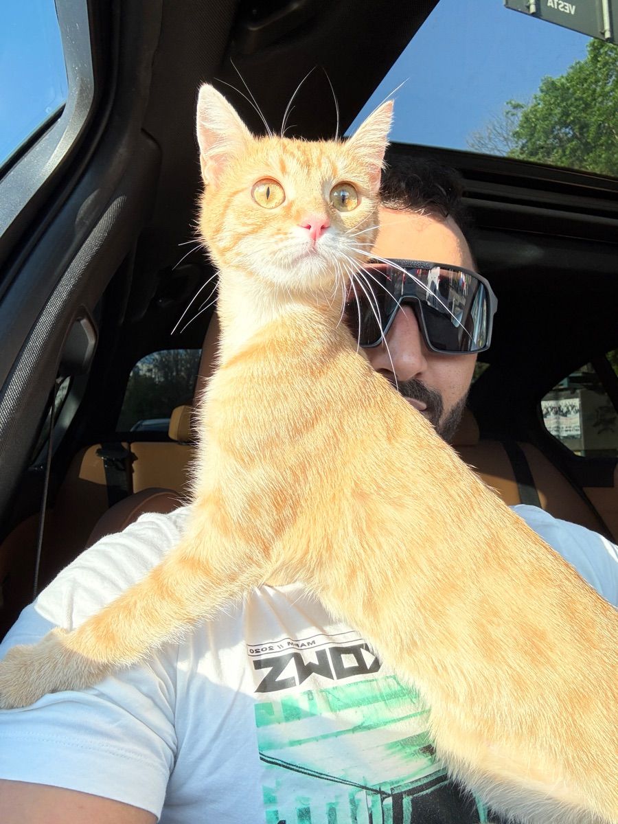 Luxy Roll - Share Your Moments!