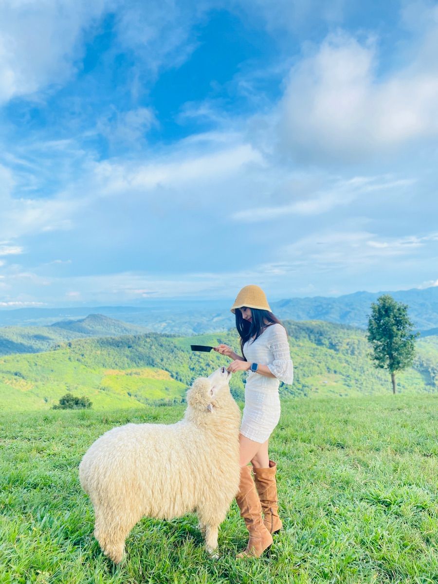 Luxy Roll - Share Your Moments!