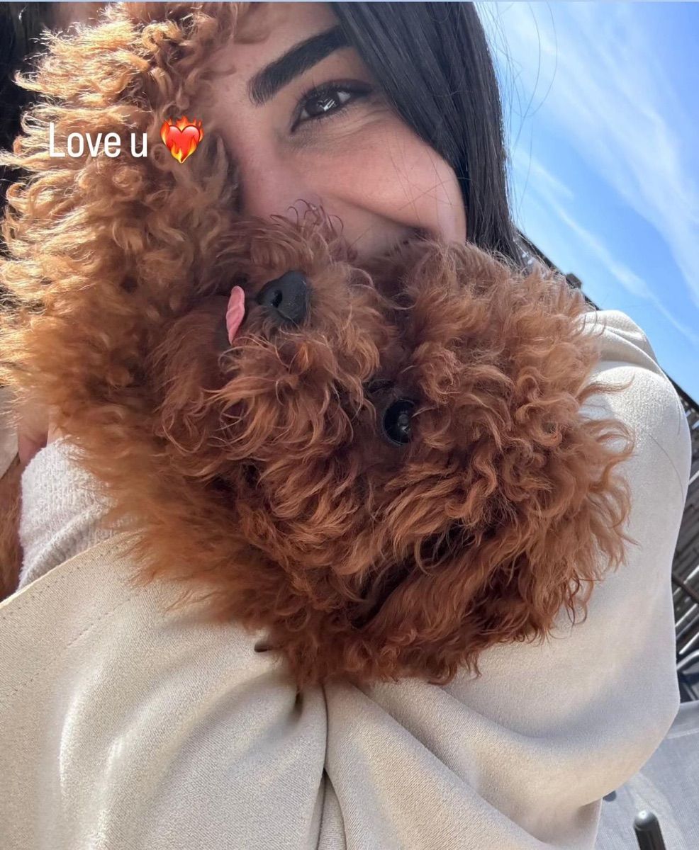Luxy Roll - Share Your Moments!