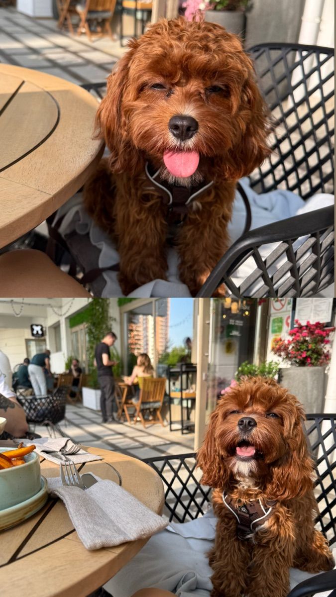 Luxy Roll - Share Your Moments!