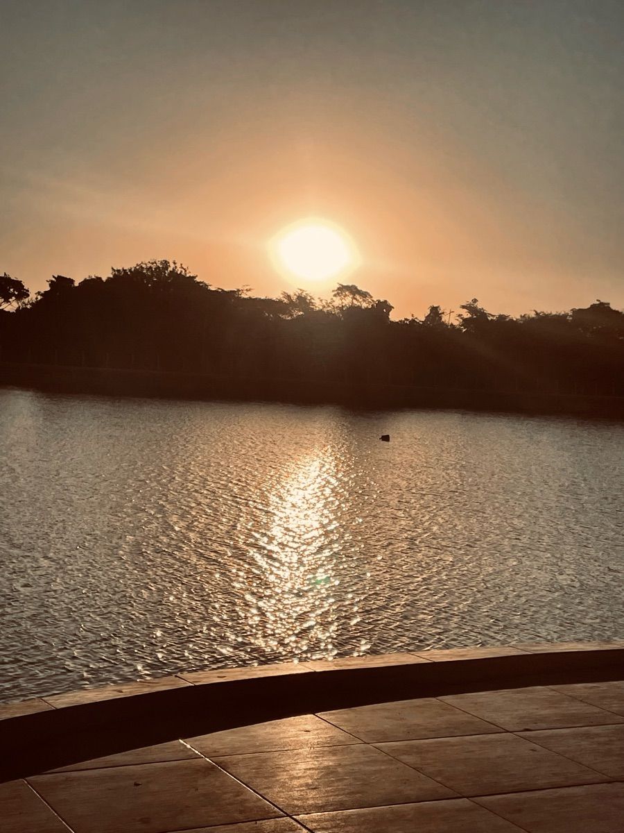Luxy Roll - Share Your Moments!