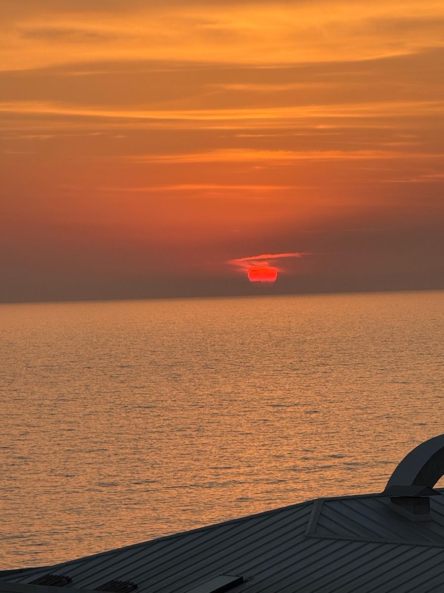 Luxy Roll - Share Your Moments!