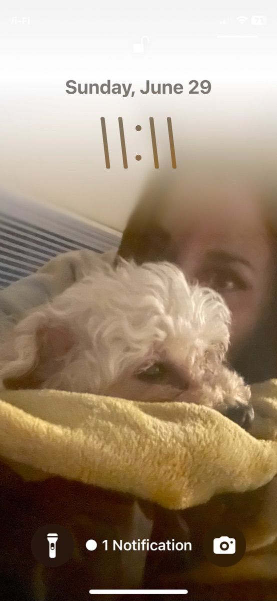 Luxy Roll - Share Your Moments!