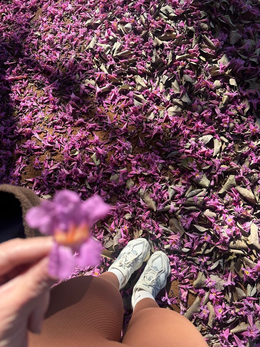 Luxy Roll - Share Your Moments!