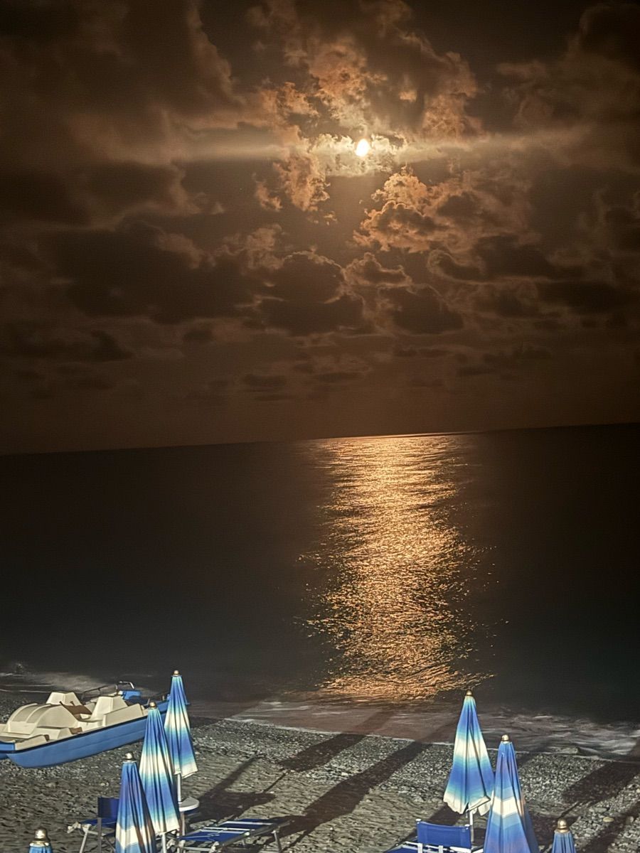 Luxy Roll - Share Your Moments!