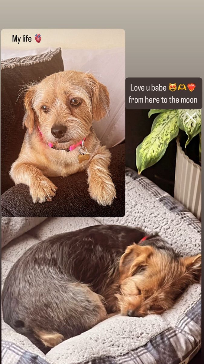 Luxy Roll - Share Your Moments!