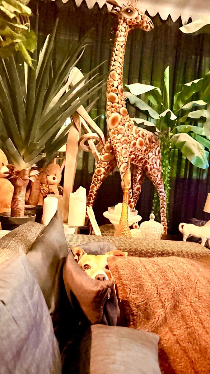 Luxy Roll - Share Your Moments!