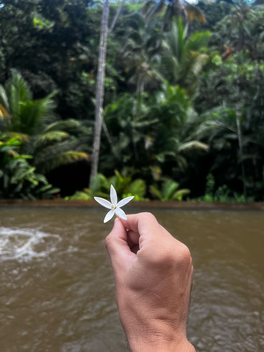 Luxy Roll - Share Your Moments!